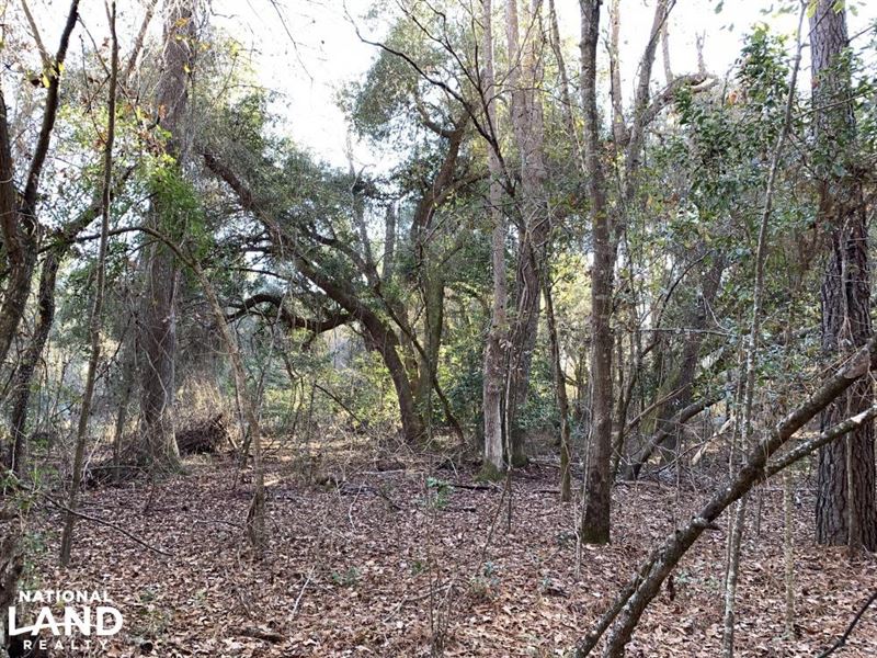 Lakewood Plantation : Manning : Clarendon County : South Carolina