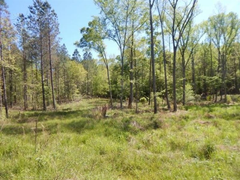 86.3 Acres in Carroll County in Car : Carrollton : Carroll County : Mississippi