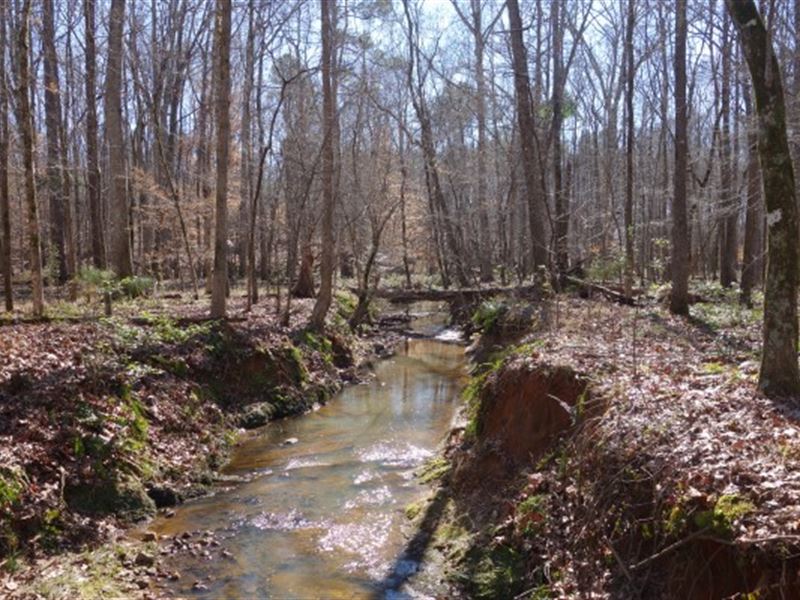 10 Acres, Fairfield County, SC, Farm for Sale in South Carolina, 229191 FARMFLIP