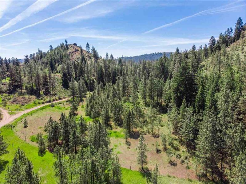 20 Acres Davenport WA & Ready to, Farm for Sale in Washington, 229345