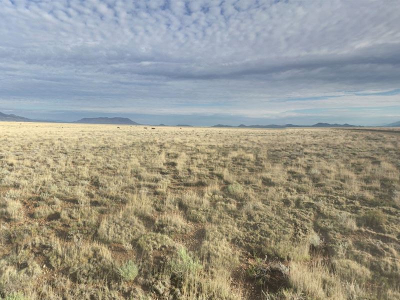 5 Acres in Rgr Costilla County, CO : San Luis : Costilla County : Colorado