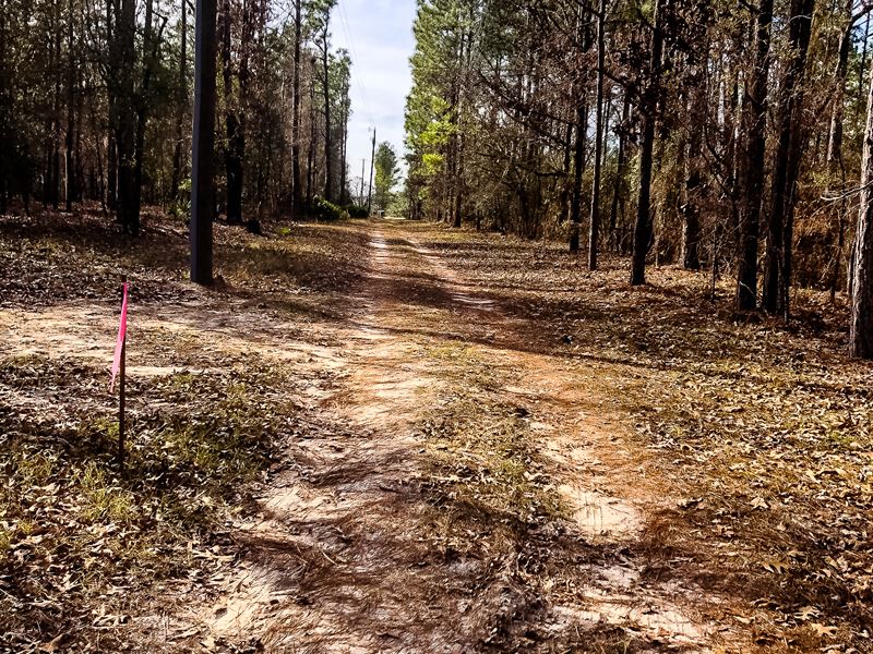 Beautiful Acreage, Goose Creek, Farm for Sale in 229489