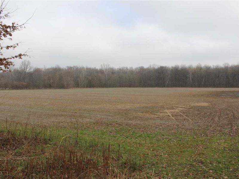 Hunting and Farm Land for Sale, Farm for Sale in Indiana, 229593