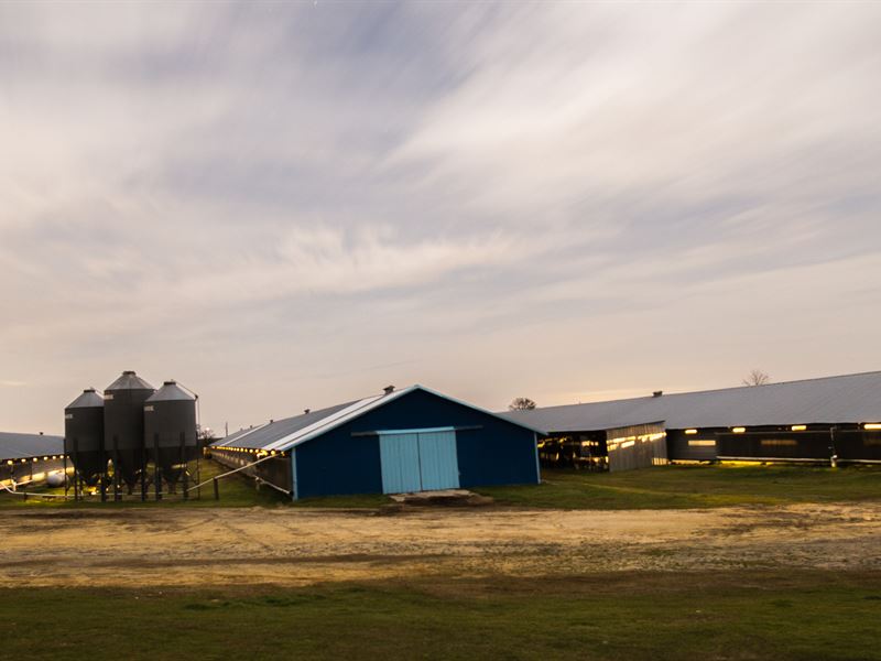 Amazing Fully Automated Farm Farm for Sale by Owner in Hawkinsville