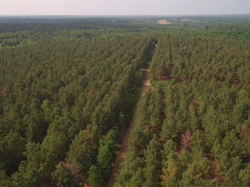 192+ Acres in McDuffie County : Thomson : McDuffie County : Georgia
