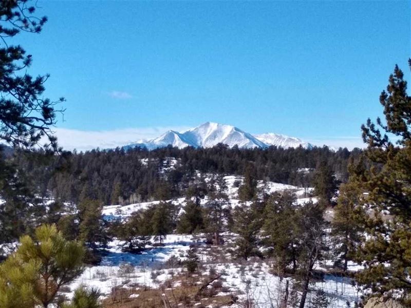 Mt, Princeton Views Over Badger Cr : Buena Vista : Park County : Colorado