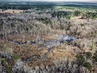 Palmetto Branch Tract, LA Salle Par : Jena : Lasalle Parish : Louisiana