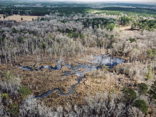 Palmetto Branch Tract, LA Salle Par : Jena : Lasalle Parish : Louisiana
