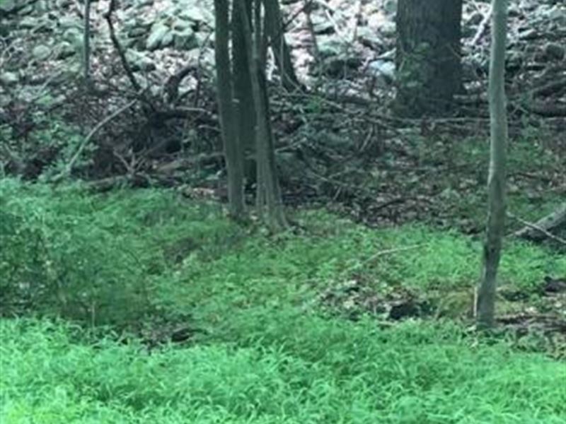 59 +/ Acres Wooded Land, Farm for Sale in Pennsylvania, 229903 FARMFLIP