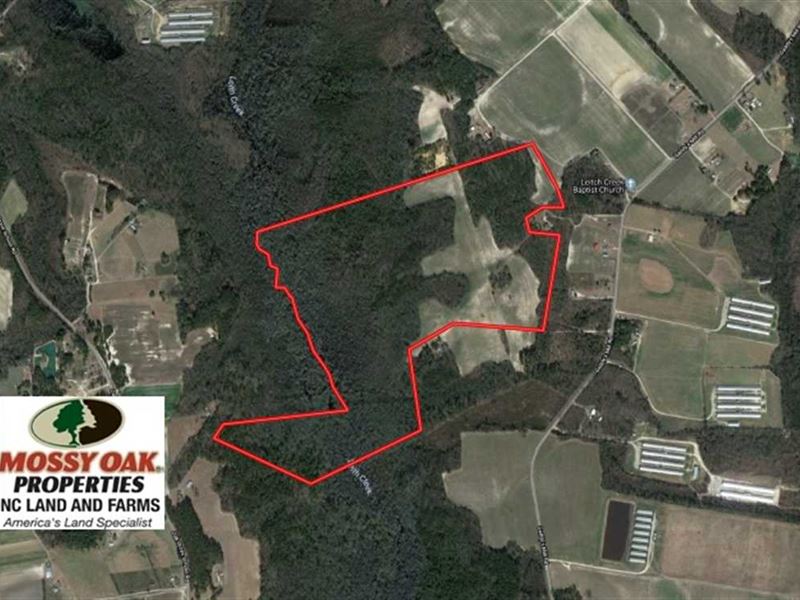 128 Acres of Farm and Hunting Land : Maxton : Robeson County : North Carolina