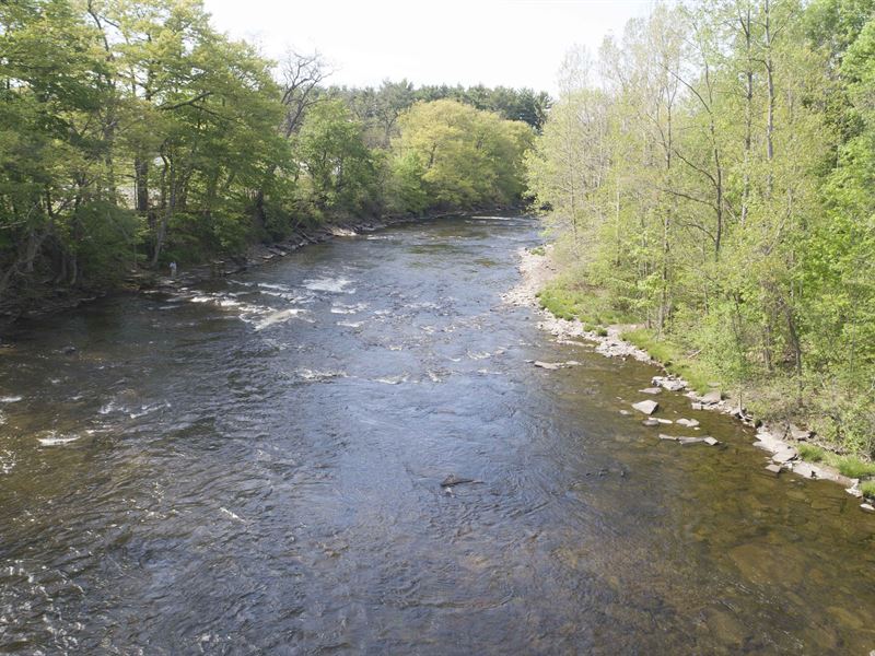 Salmon River Frontage, Potential : Pulaski : Oswego County : New York