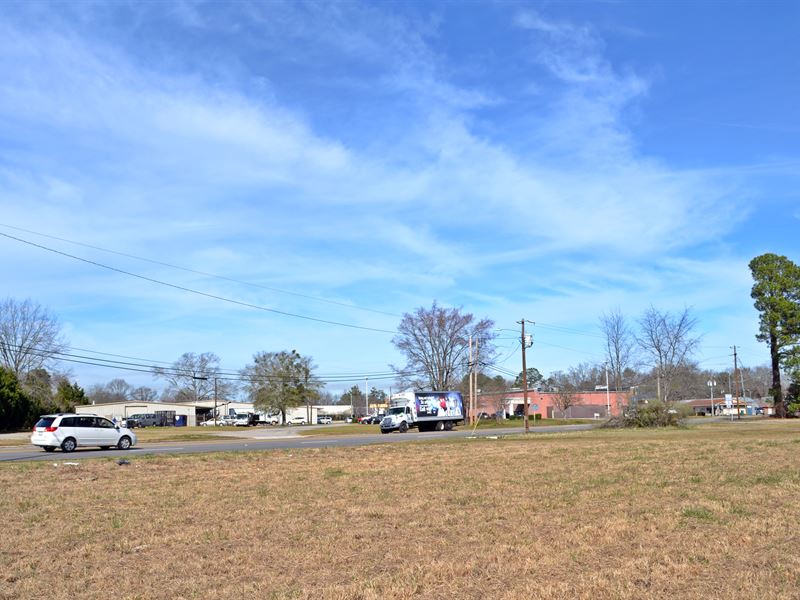 Cheraw SC Commercial Acreage, Farm for Sale in South Carolina, 230047