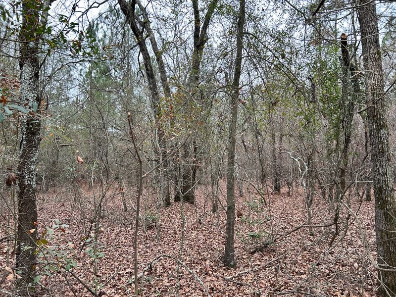 Fairview Road, Farm for Sale in South Carolina, 230087 FARMFLIP