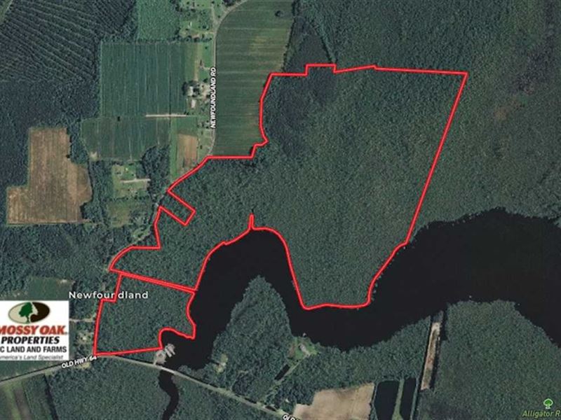 Under Contract, 220 Acres of Hun Farm for Sale in Columbia, Tyrrell County, North Carolina