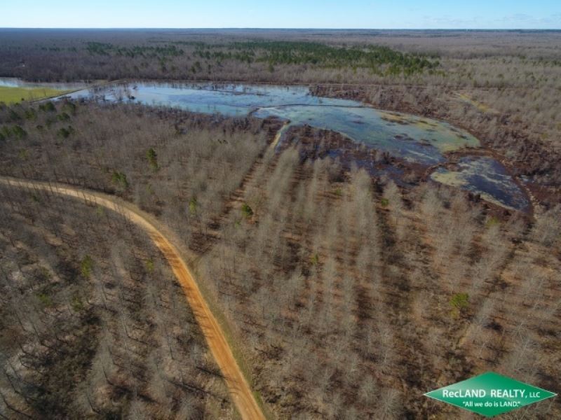 195 Ac, Deer & Duck Hunting Ad : Jonesville : Catahoula Parish : Louisiana