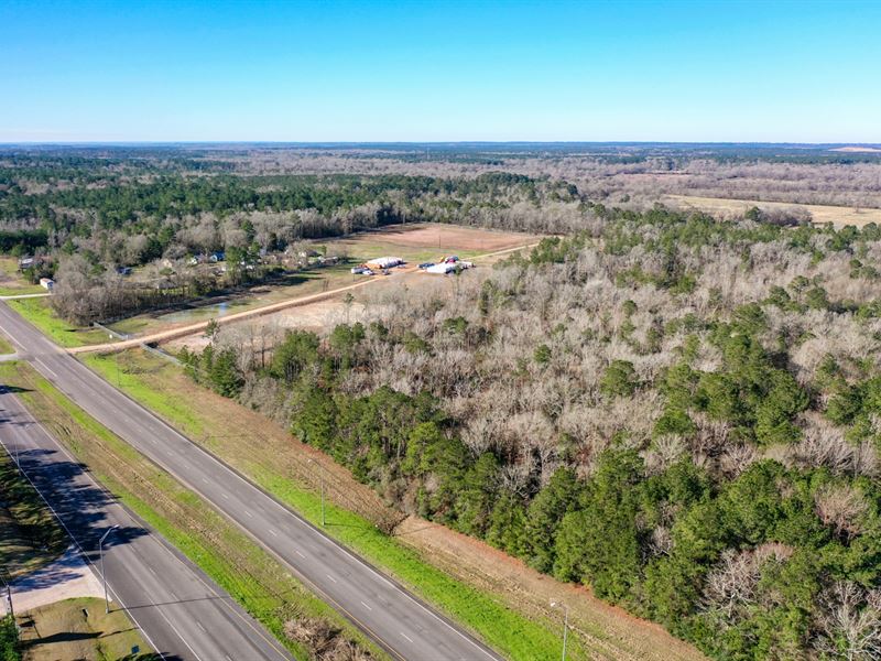 Unbelievable 12.5 Acre Tract : Livingston : Polk County : Texas