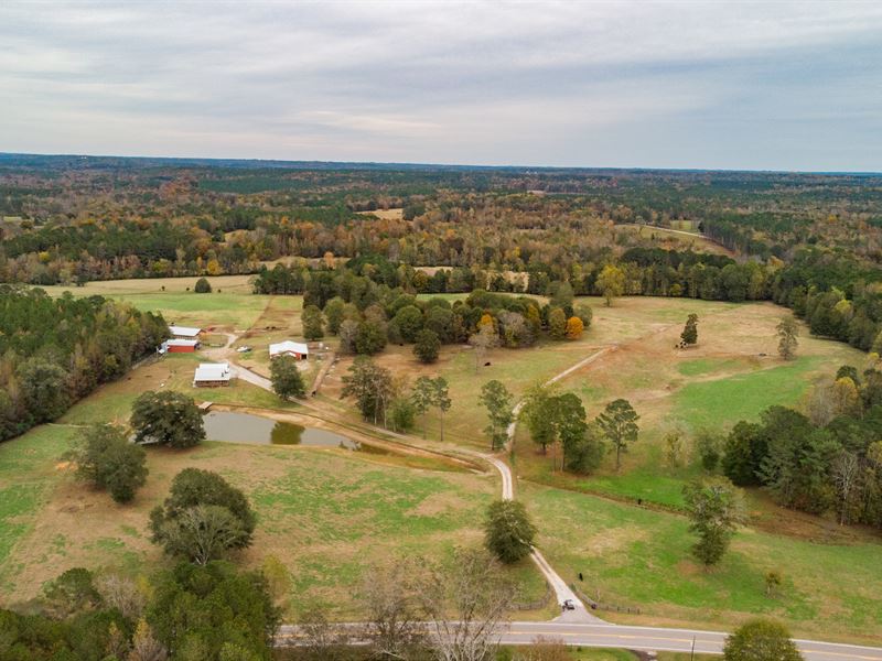 Beautiful Cattle Farm, Farm for Sale in Alabama, 230185 FARMFLIP
