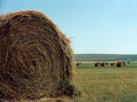The Boner Ranch : Lusk : Niobrara County : Wyoming