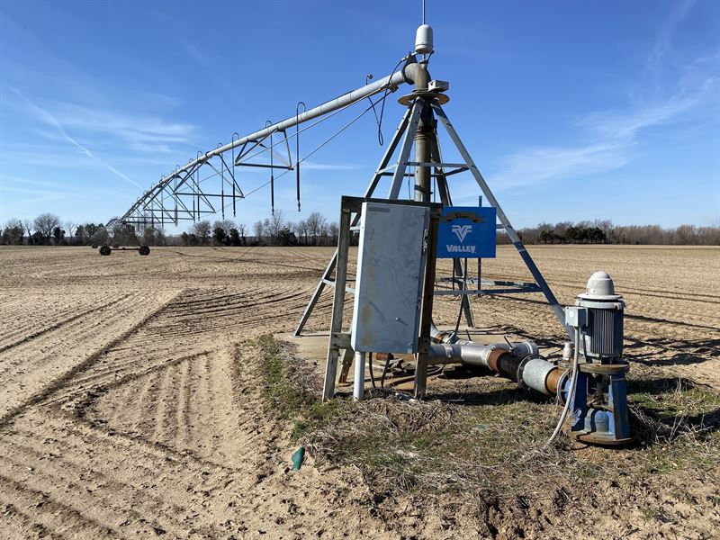 Cotton to Fresh Vegetable Farms, Farm Auction in Missouri, 230280