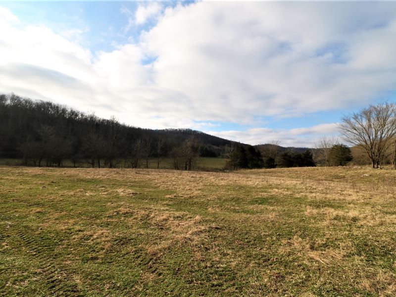 Farm/Hunting Property 174.75 Acres Farm for Sale in Monticello, Wayne
