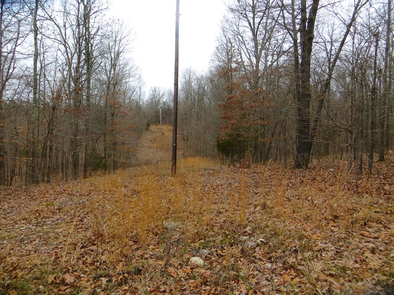 Hunting Land for Sale AR Ozarks : Pocahontas : Randolph County : Arkansas