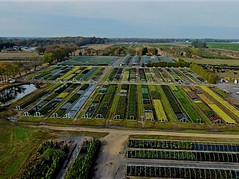 Brock Farms Wholesale Nursery : Farm for Sale in Bridgeton, Cumberland