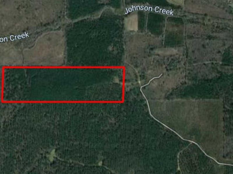 44 Acre Timber Tract Farm for Sale in Pheba, Clay County, Mississippi