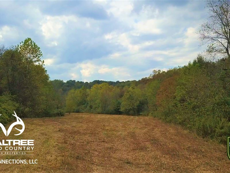 105 Acres Hunting Land Located, Farm for Sale in Ohio, 230501 FARMFLIP