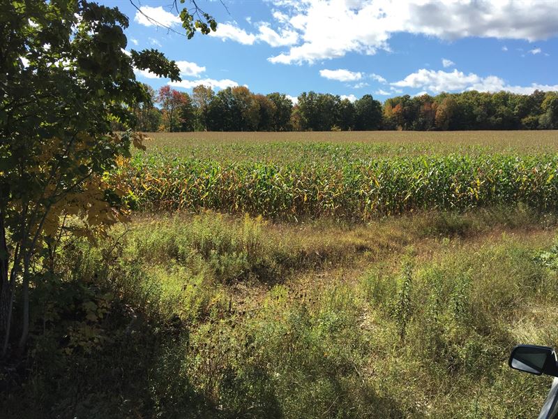 Recreational Land for Sale in Maine, Farm for Sale in Maine, 230505