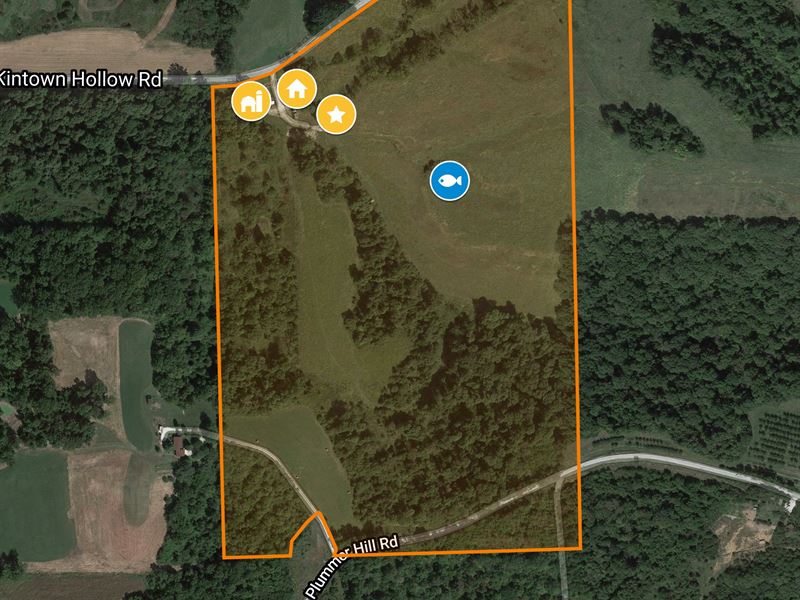 Hunting Farm with Crp Farm for Sale in Illinois, 230516 FARMFLIP