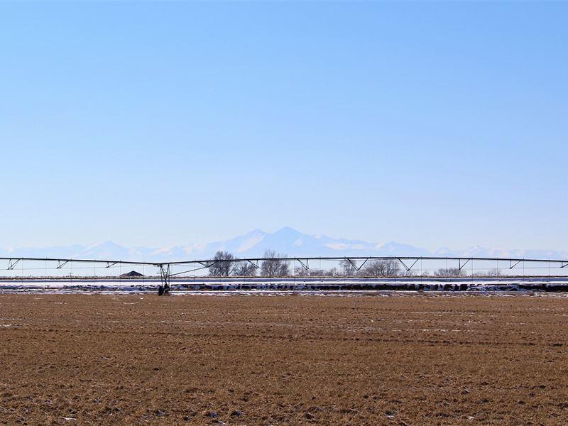 Hwy 392 Farm : Greeley : Weld County : Colorado