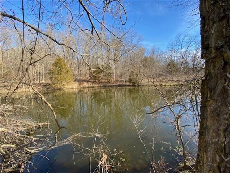 527 Cattle Farm, Mostly Open, Farm for Sale in Missouri, 230668 FARMFLIP