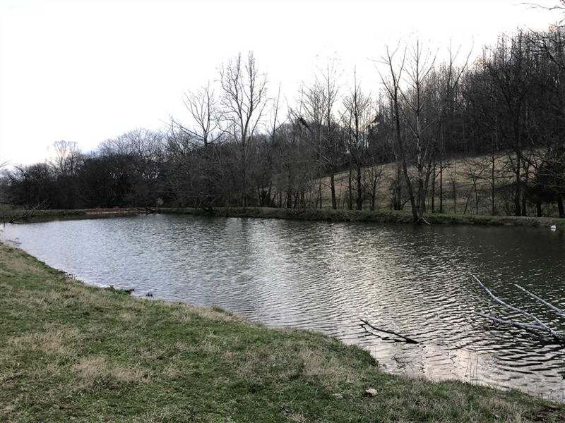 147 Acres Land for Sale Giles Coun : Prospect : Giles County : Tennessee