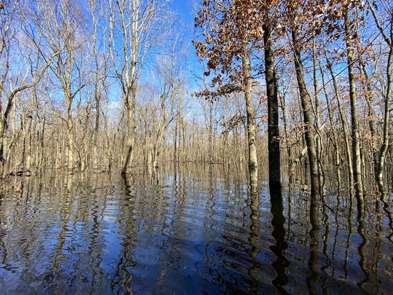 O'kean Flooded Timber, Farm for Sale in Arkansas, 230745 FARMFLIP