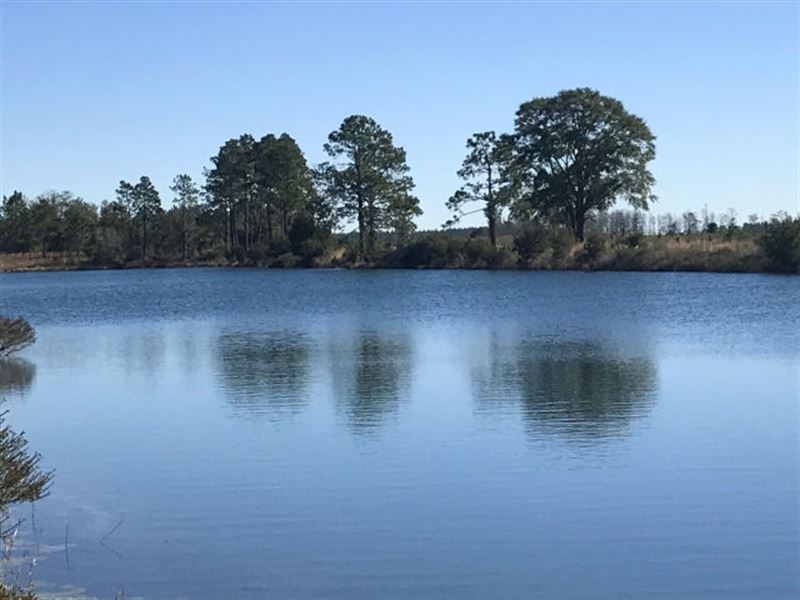 altamaha home health care baxley ga