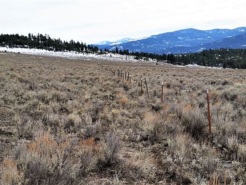 20 Acres Bordering Okanogan Nationa, Farm for Sale by Owner in