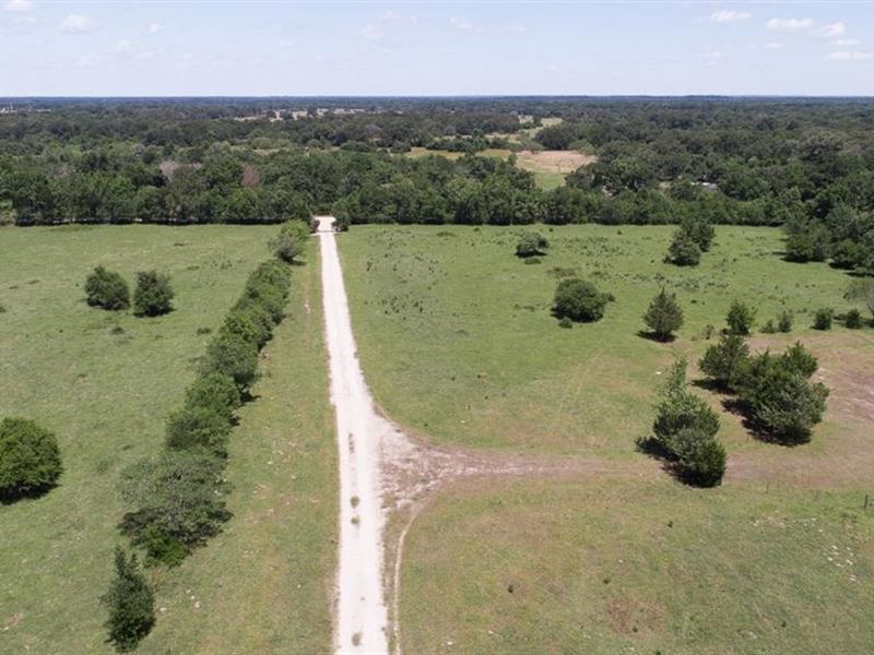 150 Acres for Sale in Madison Count, Farm for Sale in Texas, 230873