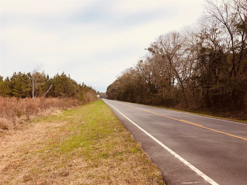 Newington Tract Farm for Sale in Newington, Screven County,