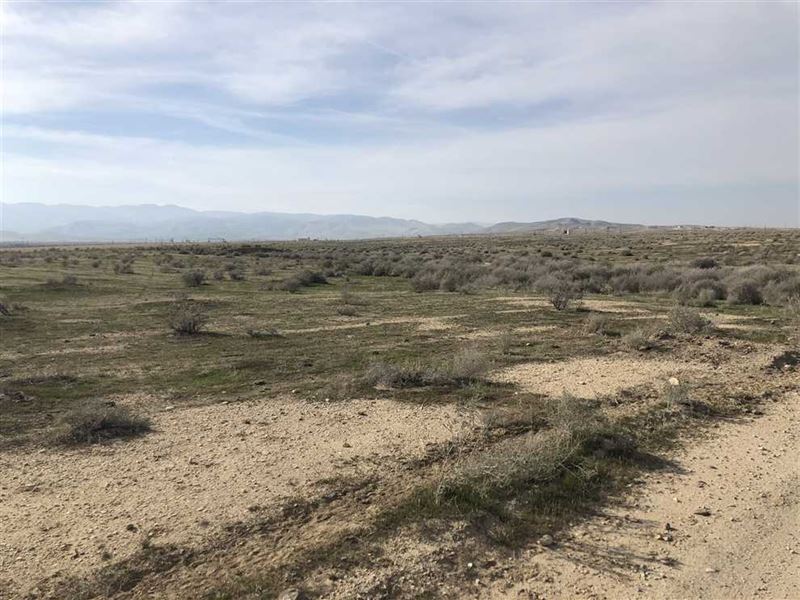90 Acres Rural Land in Kern County, Farm for Sale in California, 230903 FARMFLIP