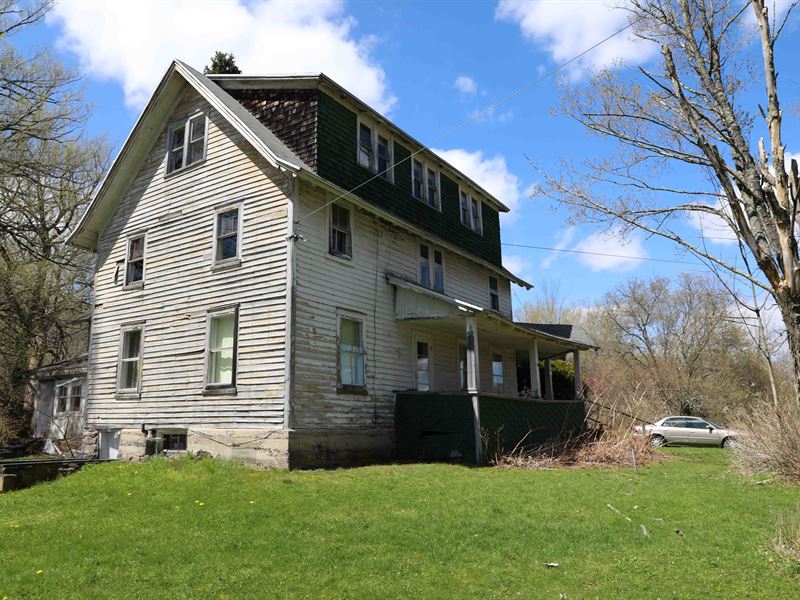 Catskills Large Acreage, Home, Farm for Sale in New York, 230983