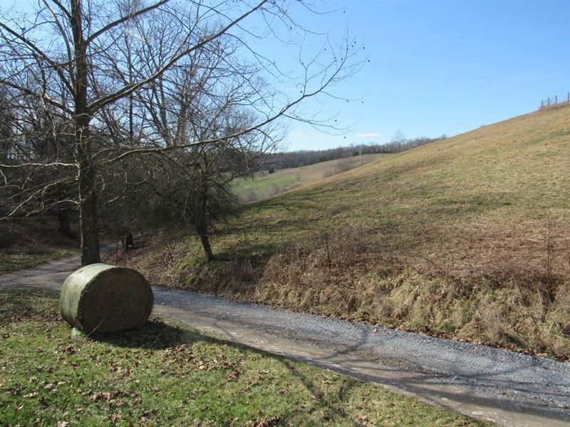 Mini Farm Home Site Meadowview VA, Farm for Sale in Virginia, 231097