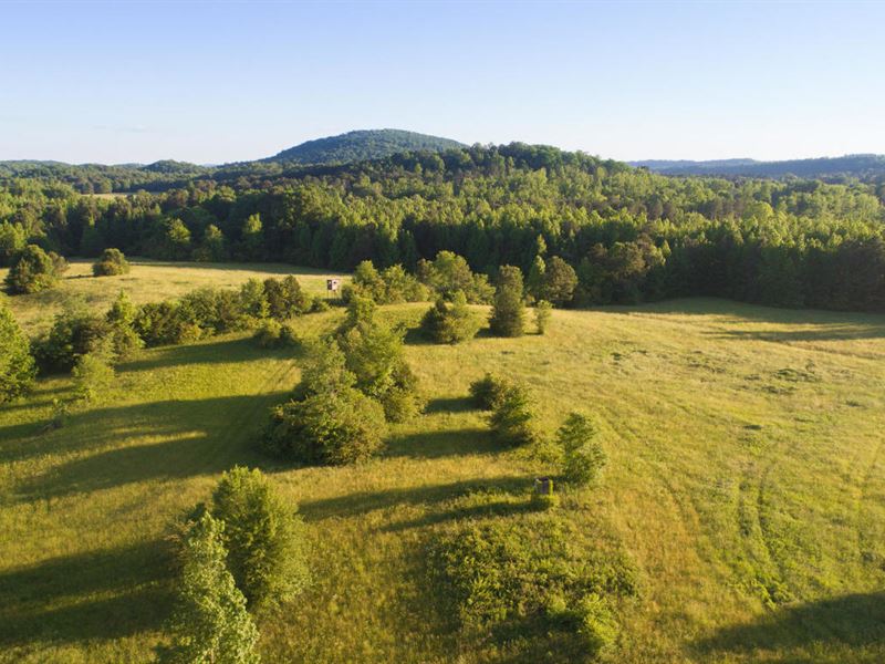 North Acreage, Farm for Sale in 231165 FARMFLIP