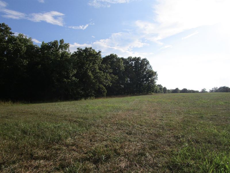 Missouri Farm for Sale, Farm for Sale in Missouri, 231309 FARMFLIP