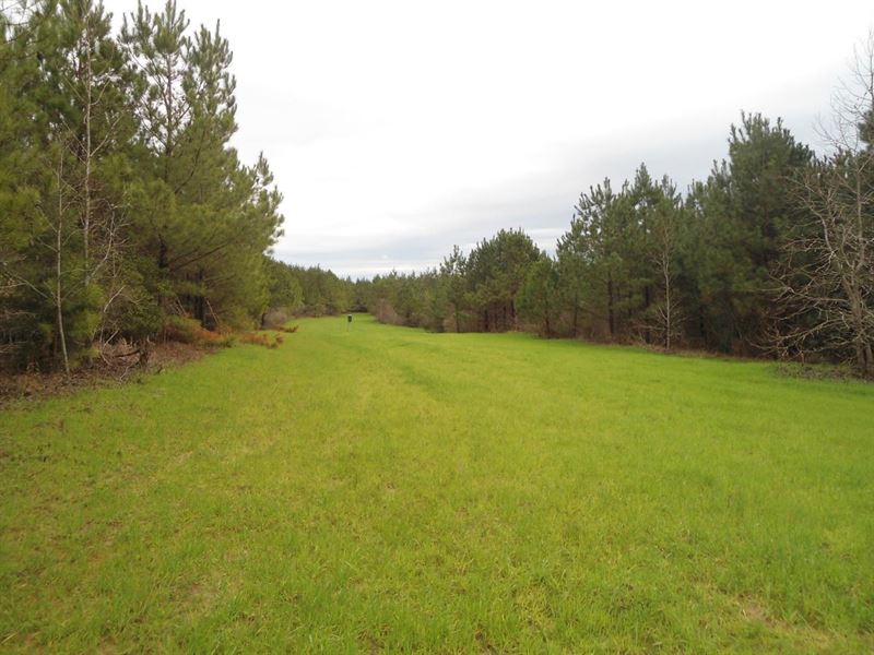foreclosed homes in lauderdale county ms