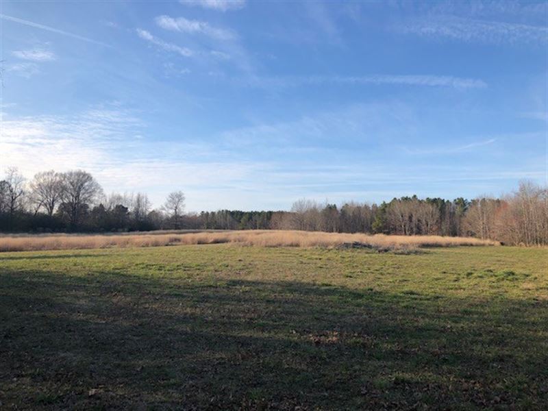 Country Acreage Fort Pickett, VA, Farm for Sale in Virginia, 231427 FARMFLIP