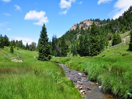 Red Fork Mountain Camp : Buffalo : Johnson County : Wyoming