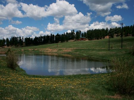 Tall Pines Ranch : Woodland Park : Teller County : Colorado