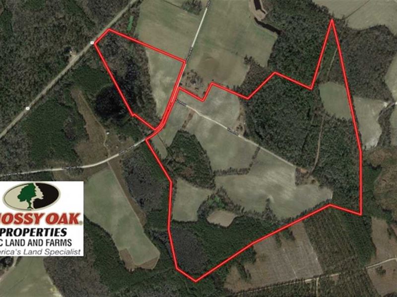 Reduced, 191.03 Acres of Farm Farm for Sale in Nichols, Horry County