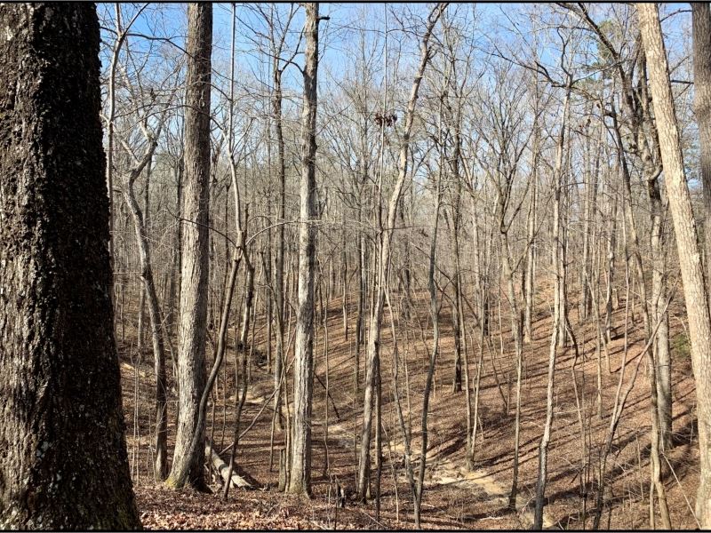 58 Acres In Choctaw County In Acker Farm for Sale in Ackerman