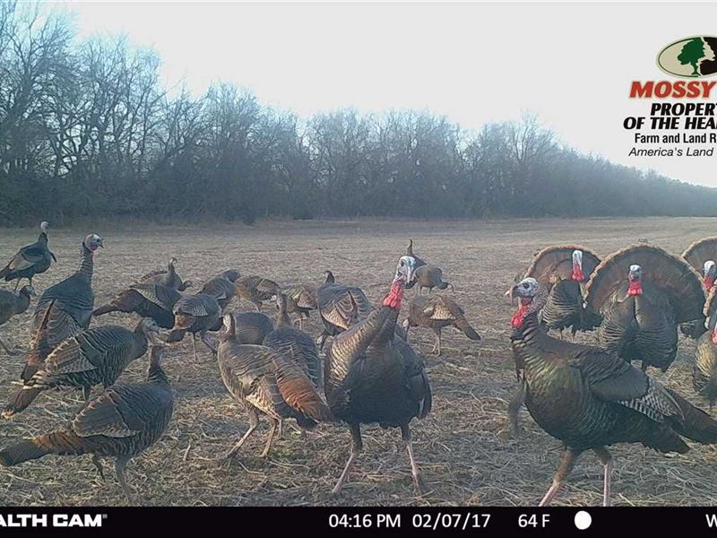 Turkey Hunters Dream 157, Farm for Sale in Kansas, 231715 FARMFLIP